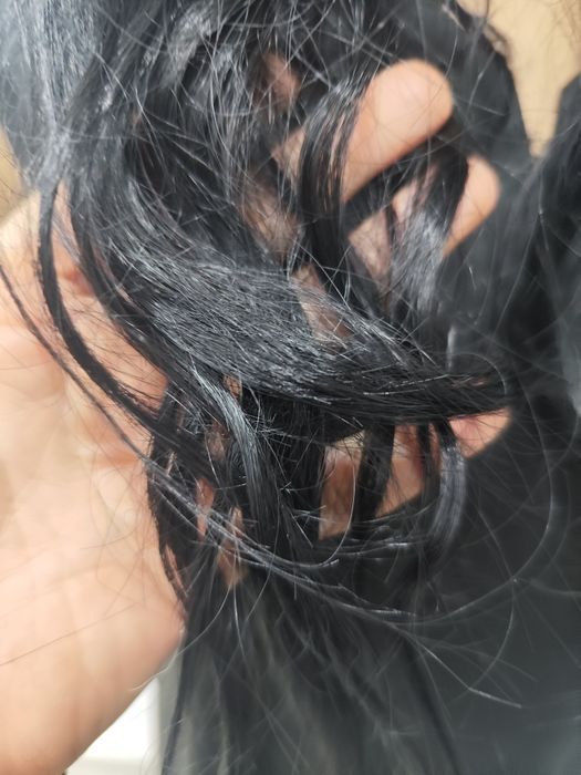 9570c9b21073794352c67275bbbbe982