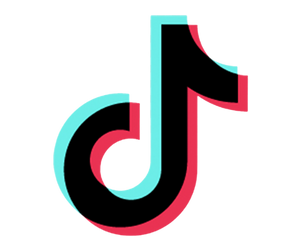 tiktok1